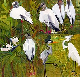 Florida Storks & Herons